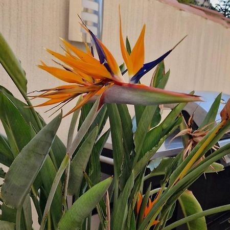 L'Oiseau Du Paradis Narbona Zewnętrze zdjęcie