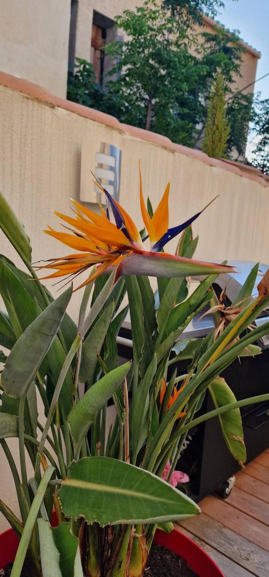 L'Oiseau Du Paradis Narbona Zewnętrze zdjęcie